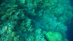 Египет Barcelo Tiran Sharm