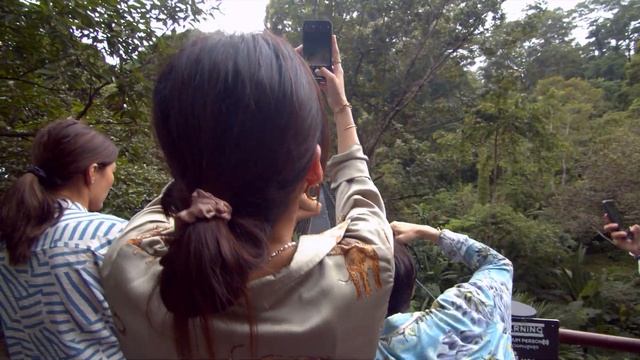 Chill Out - Three Monkeys Restaurant 🙈🙉🙊 смотреть онлайн