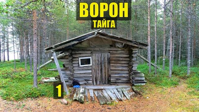 ЗАБРОШЕННАЯ ИЗБА ДЕДА ВОРОН ОТШЕЛЬНИК УБЕЖИЩЕ ДОМ ЛЕСНИКА СУДЬБА в ЛЕСУ ИСТОРИИ из ЖИЗНИ СЕРИАЛ 1 смотреть онлайн