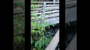 Поездка в Аше