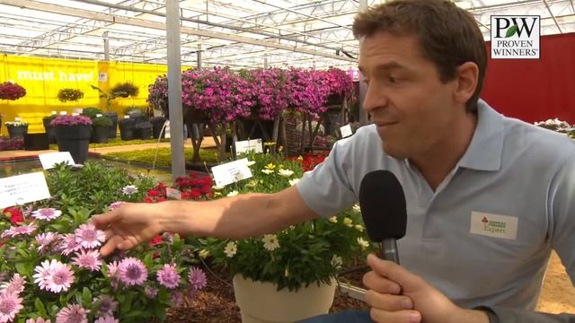 (I) Springstar RP смотреть онлайн