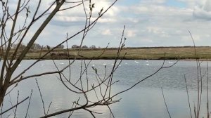 Участки в Турбаслах (Иглинский район)