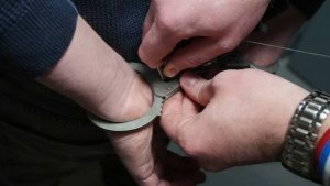 Боевика батальона "Айдар"* заключили под стражу в ЛНР за реабилитацию нацизма