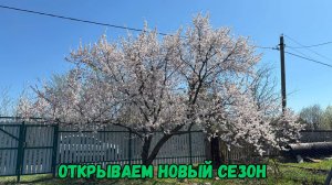 Открываем новый сезон