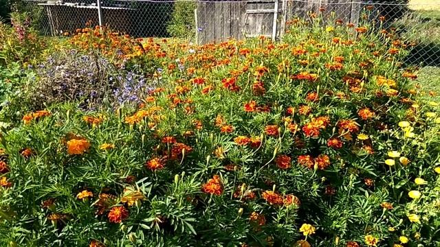 Перед отъездом работы море, как успеть? 16.08.23 смотреть онлайн