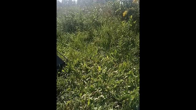 Туризм в Беларуси дикарём, закрытие сезона Отдых на природе в палатках. Начало сезона охоты на Уто смотреть онлайн