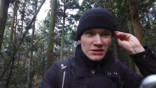 Счетовод