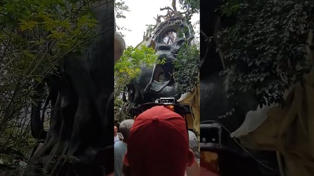 Отель CRAZY HOUSE,Вьетнам, г.Далат смотреть онлайн