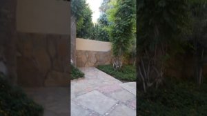 отель Saritas 4* Алания Турция -корпус С