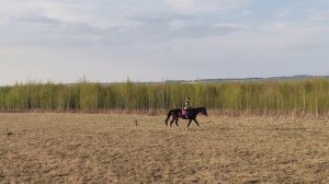 Проезд схемы ППДА Даша и Флейта в поле.