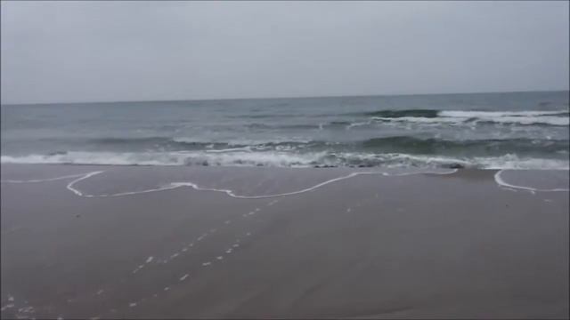 БЕРЕГ Г СВЕТЛОГОРСК смотреть онлайн