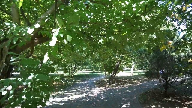 АНАПА 12.09.2019 УТРЕННИЙ ЗАПЛЫВ. ПЛАНИРУЮ ВСТРЕЧУ. ПОГОДА смотреть онлайн