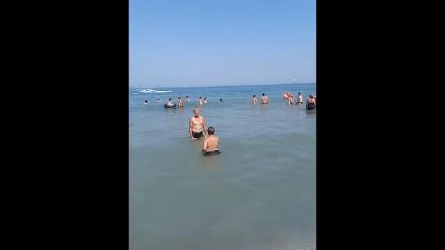 плаж Обзор - 2017 г. смотреть онлайн