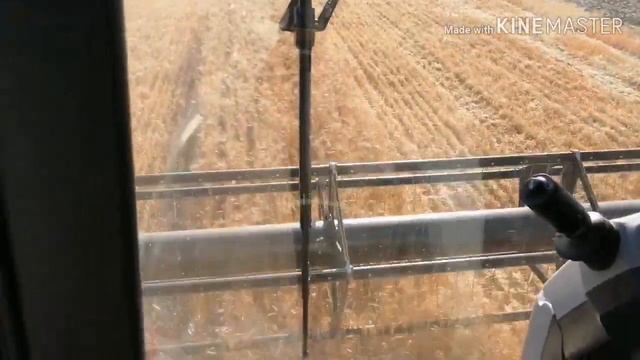 Уборка 2019... смотреть онлайн