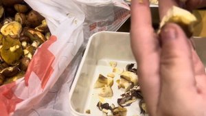 КОНСЕРВАЦИЯ. МАРИНОВАННЫЕ МАСЛЯТА!!! ЗАМОРОЗКА ГРИБОВ