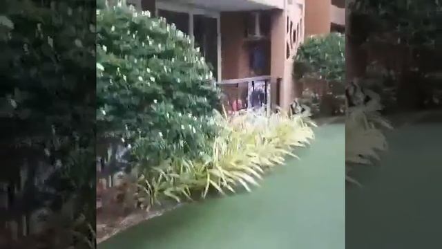 Тайланд Паттайя Атлантис смотреть онлайн