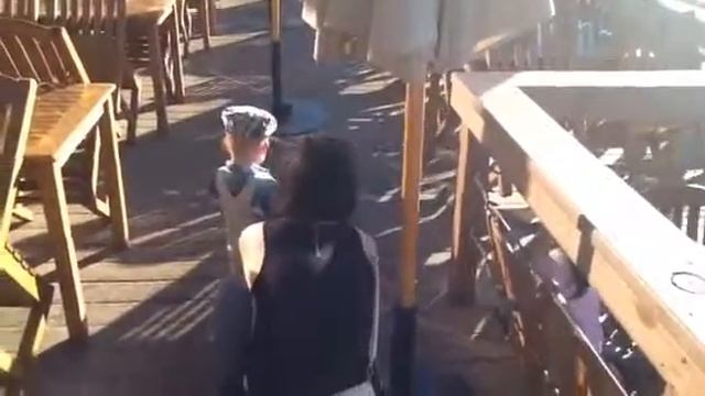 25 декабря в Лонг Бич смотреть онлайн