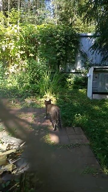 Отдых на пенсии. смотреть онлайн