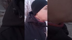 Заельцовский парк прогулка