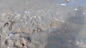 2024 Дагестан Махачкала Центральный пляж