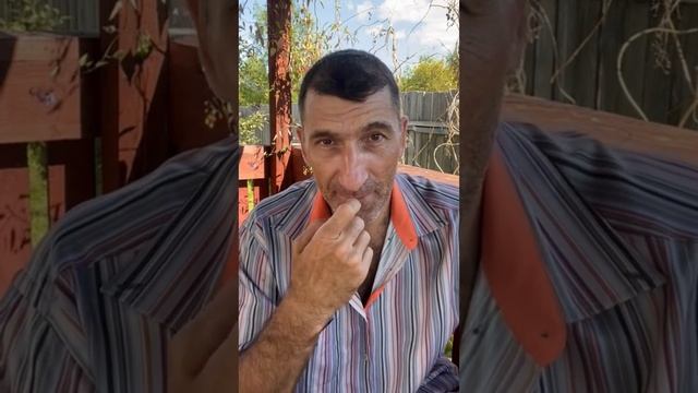 Прикол в женском туалете в ресторане 😄 смотреть онлайн