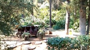 Санаторий Алушта. Июль 2024.