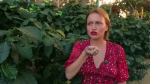 Орёл и решка Чудеса света Цветочный путь - (Фрукты-ягоды)