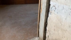 Бывший туберкулёзный санаторий , наводивший ужас на всю округу 😬👻