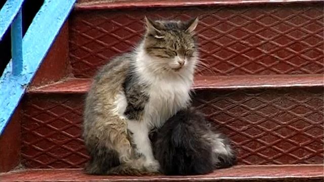 Курорт Сатанів, Хмельницька область, Україна смотреть онлайн