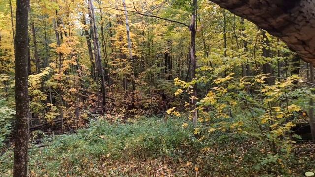 Ковали 2021. Поход. 2 часть смотреть онлайн