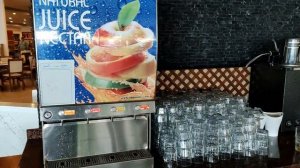 Lonicera World 2024 Обзор завтрака Июль