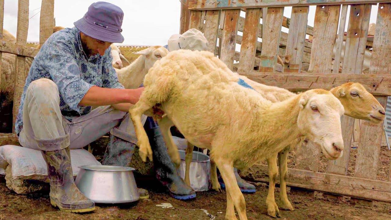 Рецепт Азербайджанской ДОВГИ!