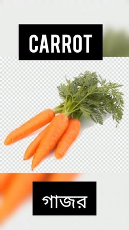 #vegetables #vegetablesnames #শাকসবজি #vegetablesnameinenglish #bengali #vegetablespictures