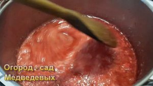 Рецепт соуса из красной смородины к мясу на зиму