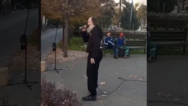 Главная звезда Краснодара .... улица Красная