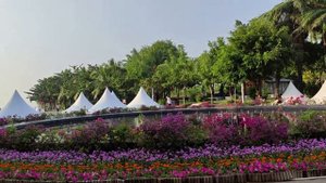 Санья. о. Хайнань. Утро в Дудунхае. Ноябрь 2019