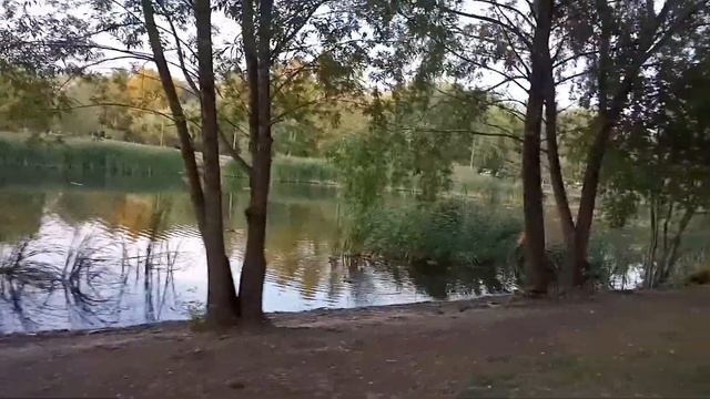 воронеж озер смотреть онлайн