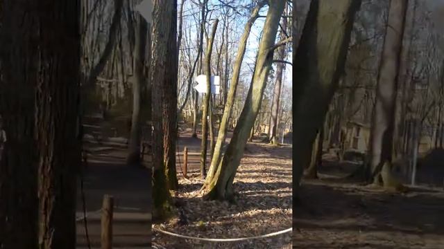 Полина и динозавры Светлогорск смотреть онлайн