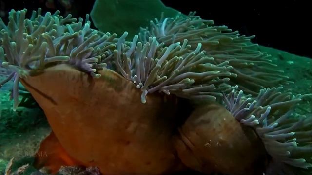 ЛУННЫЙ ДЕНЬ - 22 АВГУСТА 2024 / ЧЕТВЕРГ / КАК СЛОЖИТСЯ ВАШ ДЕНЬ СЕГОДНЯ? / ЛУННЫЙ КАЛЕНДАРЬ / АВГУС смотреть онлайн