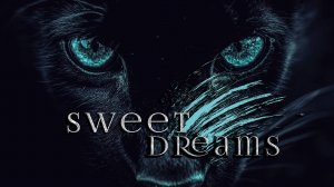 sweet dreams