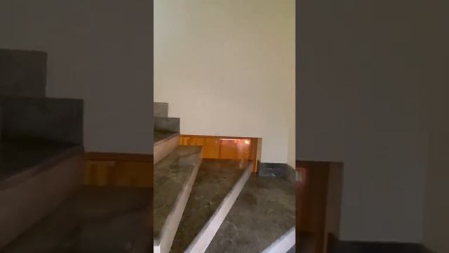 Рум-тур