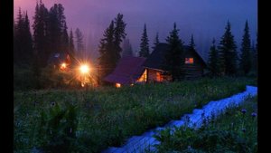 Звуки природы - Птицы, сверчки, цикады