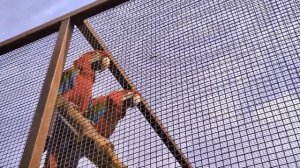 Зоопарк САФАРИ в городе Бердянске