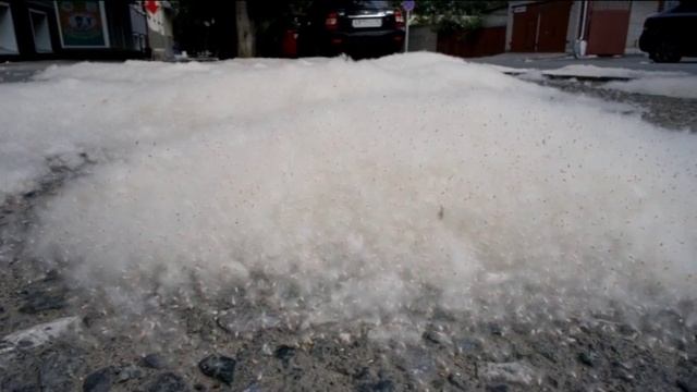 Тополиный пух смотреть онлайн