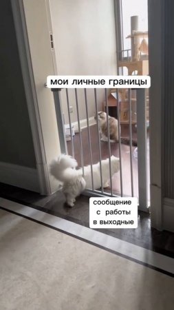 Было? 😅