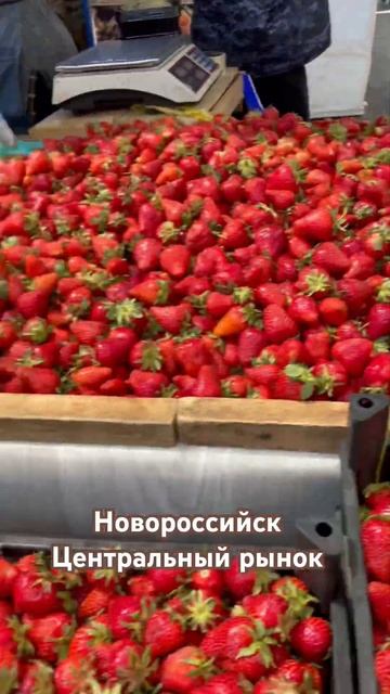 12 мая 2024 #переезднаюг #море #новороссийск #переезднаморе #черноеморе
