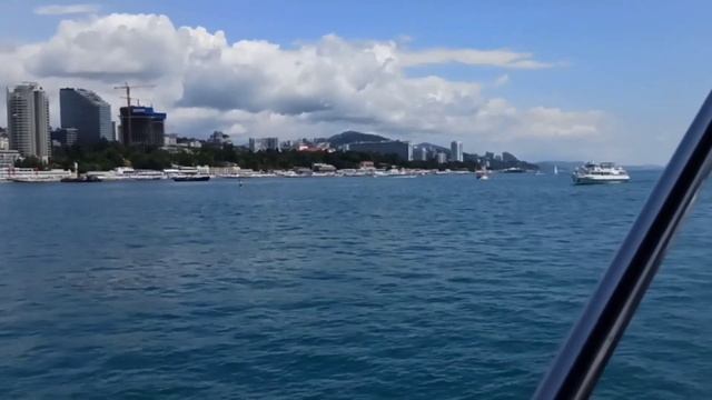 Сочи цветы морская прогулка/Шикарное цветение олеандров/Олеандры магнолии/Sochi flowers boat trip