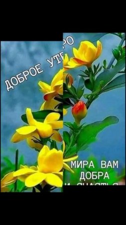 помогай другим чем можешь.