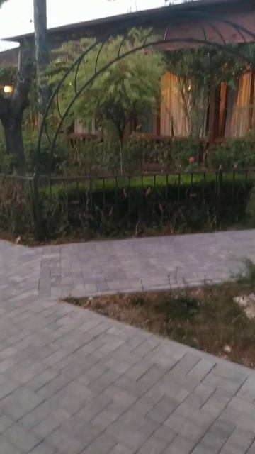 Добрый вечер!/ Симферополь./Свадьба.
