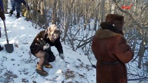 О значимости Сурского рубежа